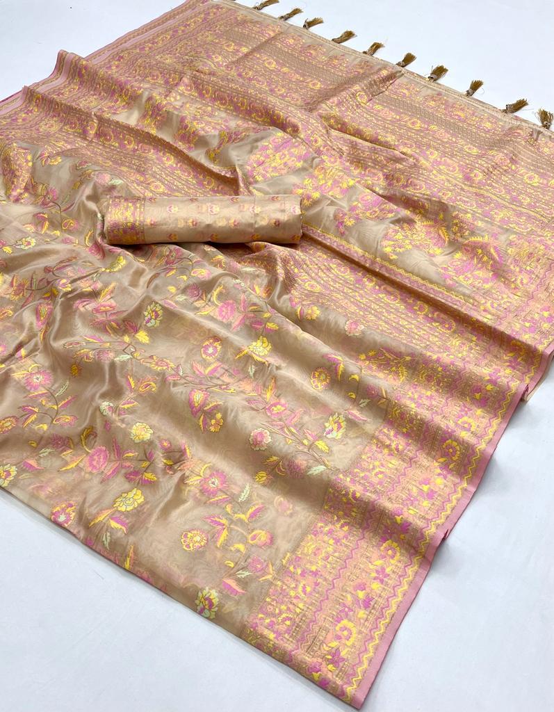 Kashmiri Organza Saree