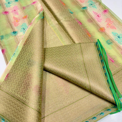 Banarasi Rangkat Organza Saree