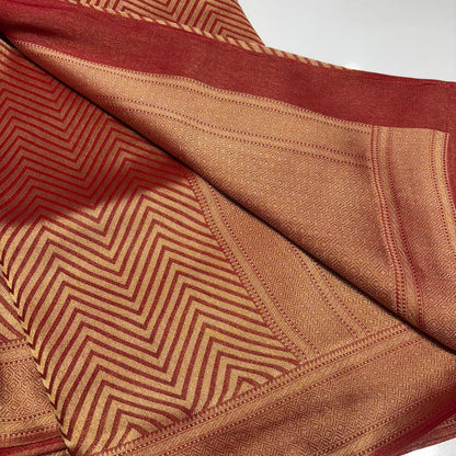 Designer Tissue Organza Saree