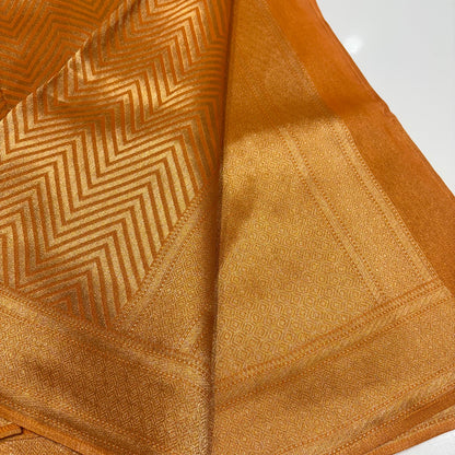 Designer Tissue Organza Saree