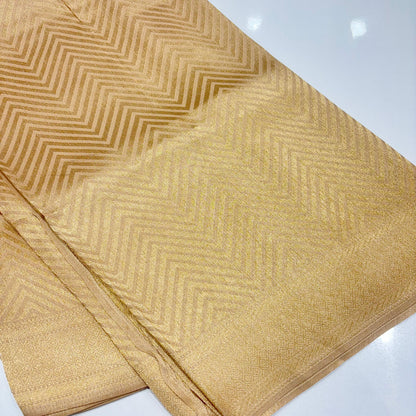 Designer Tissue Organza Saree