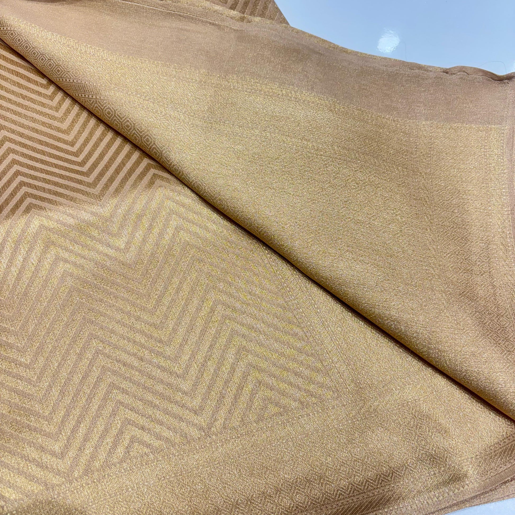 Designer Tissue Organza Saree