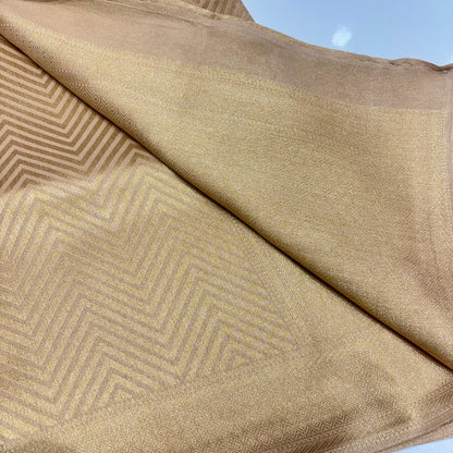 Designer Tissue Organza Saree