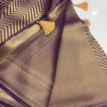 Designer Tissue Organza Saree