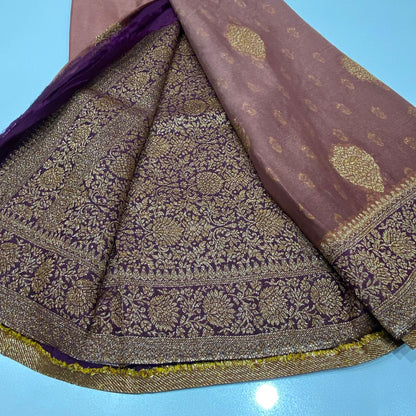 Banaras Antique Zari Chiffon Saree