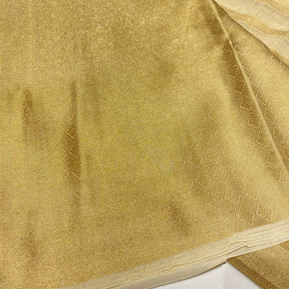 Designer Tissue Organza Saree