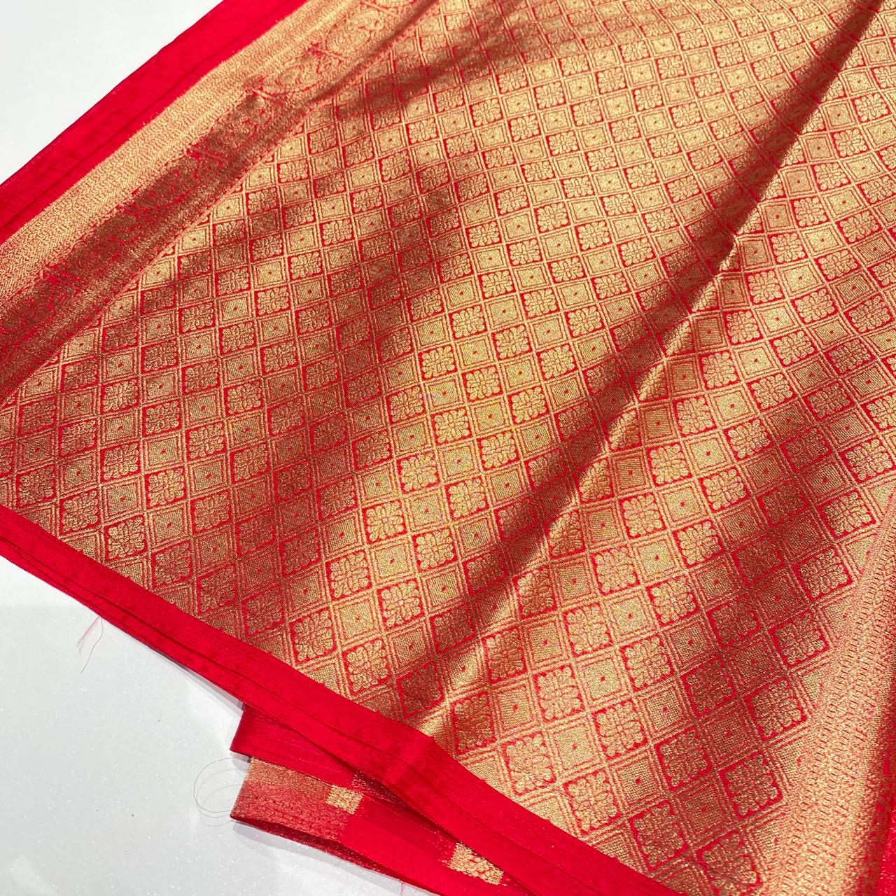 Designer Tissue Organza Saree