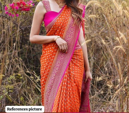 Banarasi Chiffon Saree