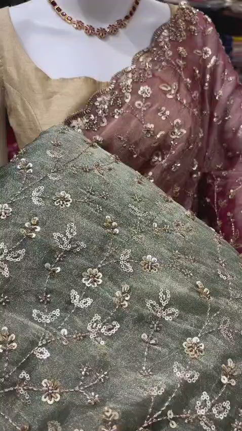Party Wear Organza Saree